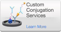 Custom Conjugation Services